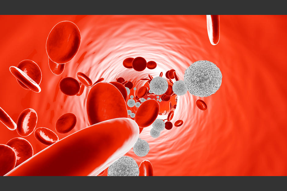 "El sistema inmune contra los virus tiene dos objetivos principales: uno es tratar de neutralizarlos y evitar que entren dentro de las células", argumentó Silvia Bucciarelli, coordinadora del Programa integrado de Inmunología y Enfermedades Autoinmunes. (Foto: Antiaging Shop).