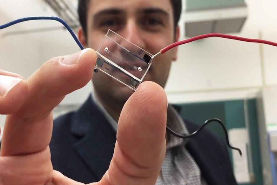 Crean en México un microchip que pude detectar el Coronavirus de forma rápida a un bajo costo. (Foto: Archivo)