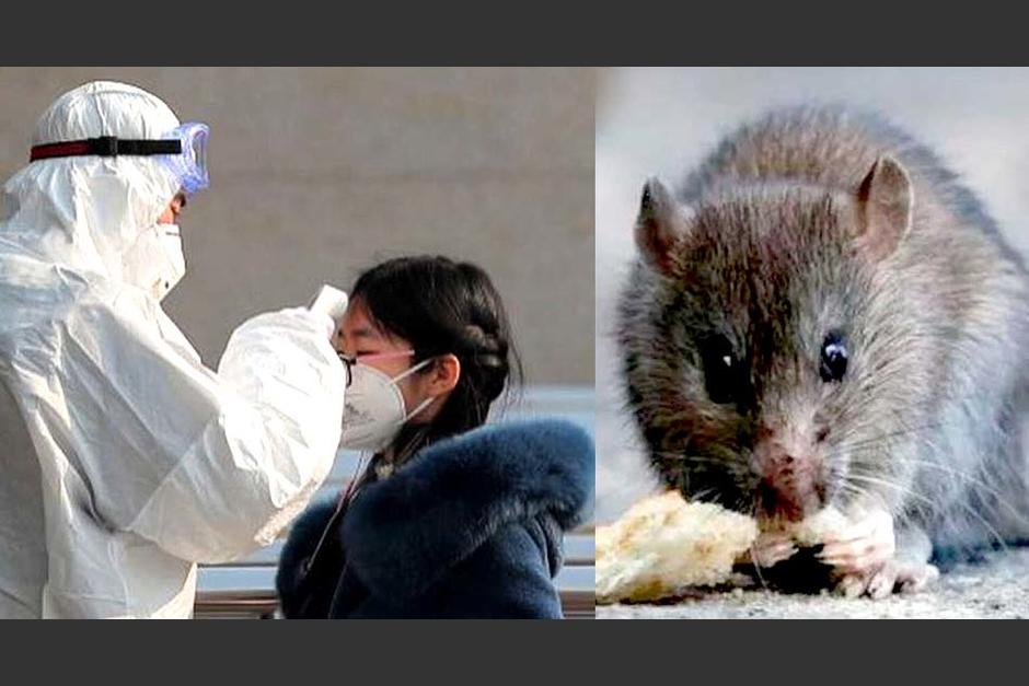 China en alerta ante muerte por un virus ya existente. (Foto El Salvador Times)