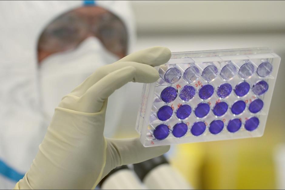 Los rusos afirman que a finales de este año tendrán cientos de miles de dosis. (Foto: AFP)