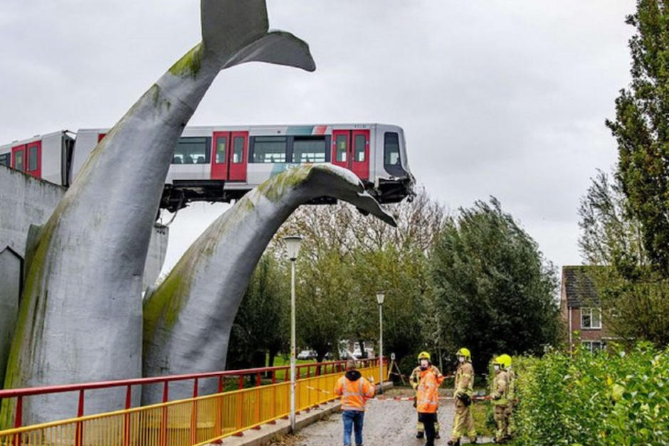 El 2020 permanecerá en la memoria por la angustia de la pandemia del nuevo coronavirus, también se han vivido muchas situaciones divertidas e insólitas. (Foto: AFP)