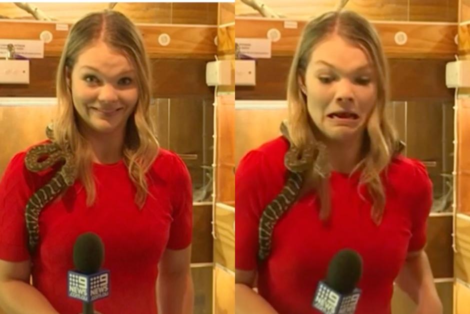 La reportera se llevó tremendo susto. (Fotos: captura de pantalla) 