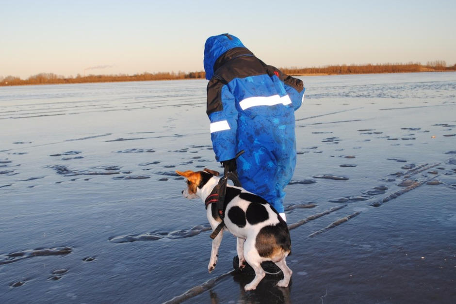 Una mujer se tiró a un estanque congelado para salvar a su perro que se lanzó para perseguir un pato. (Foto: PIxabay/mark1201)