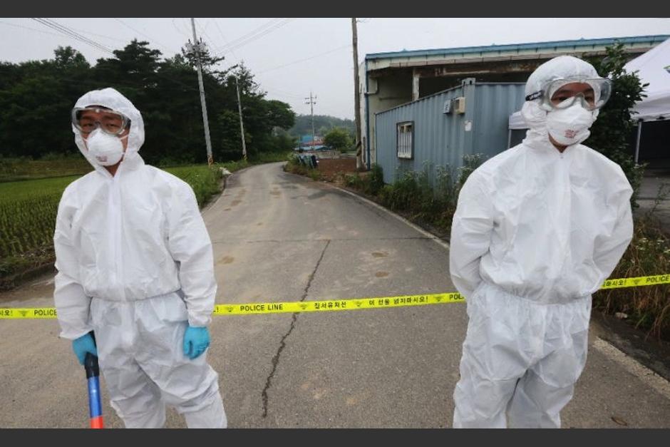 El gobierno está en alerta por posible brote de peste negra en la región. (Foto: AFP)