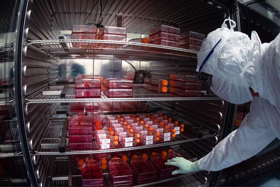 Dos proyectos de vacunas contra la Covid-19 "producen respuesta inmunitaria". (Foto: AFP) 