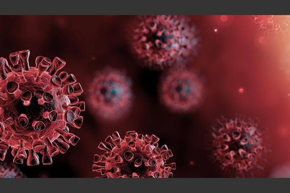  Esta investigación permitió extraer importantes conclusiones sobre cómo actúa el virus que tanto miedo despierta en el mundo. (Foto: Pixabay)