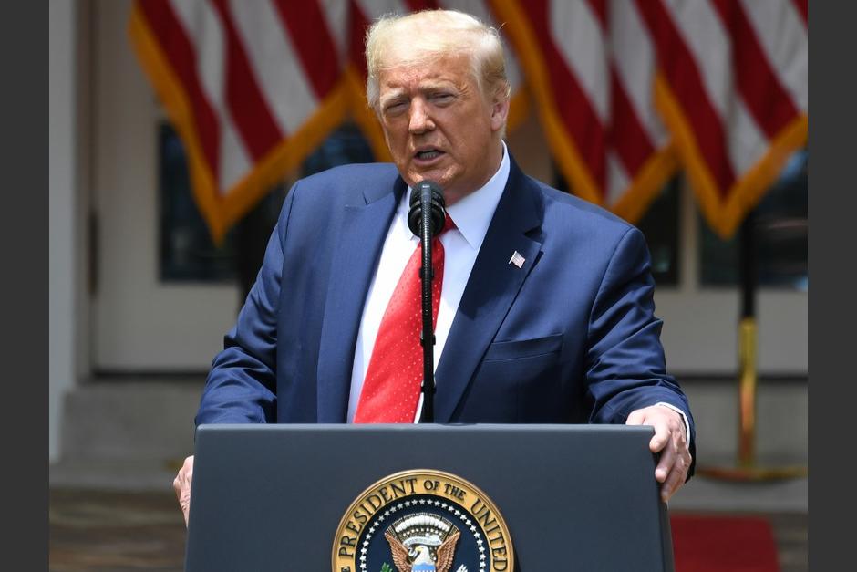 Mary Trump contará detalles sobre su tío en el libro "Demasiado y nunca suficiente: cómo mi familia creó al hombre más peligroso del mundo". (Foto: AFP)