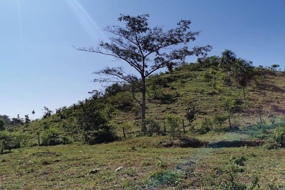 El empresario está sindicado por los delitos de fraude, peculado, asociación ilícita y lavado de dinero (Foto: MP)