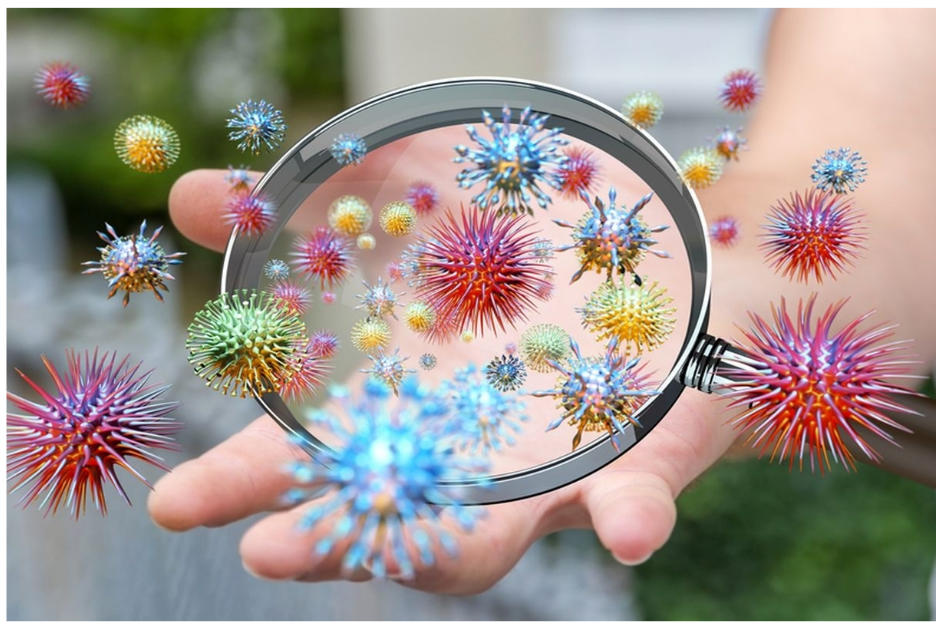 De no ser por el coronavirus covid-19 no sabríamos esta definición. (Foto Shutterstock)