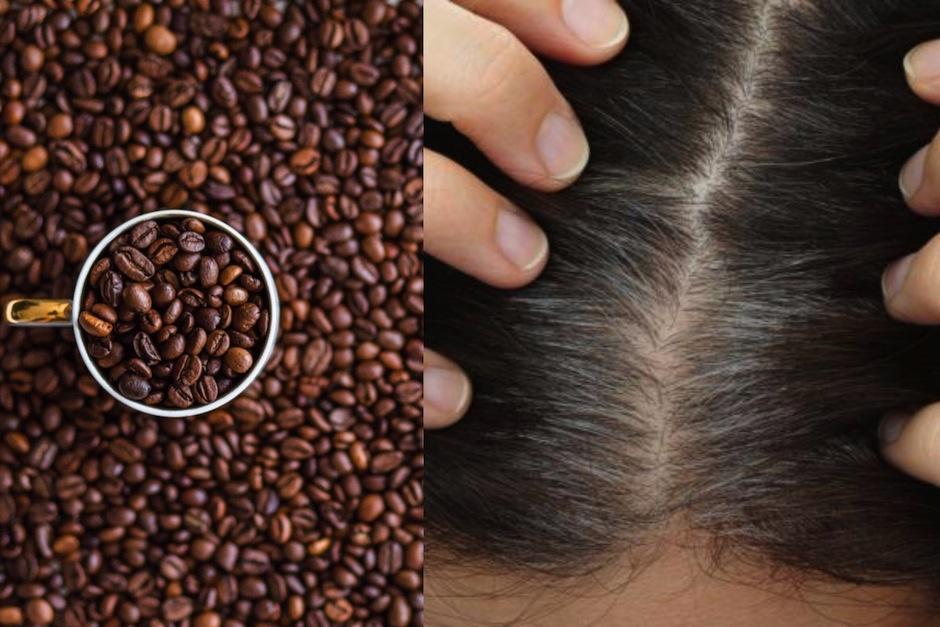 El café es un gran aliado para cubrir las canas. (Fotos: Px Here)