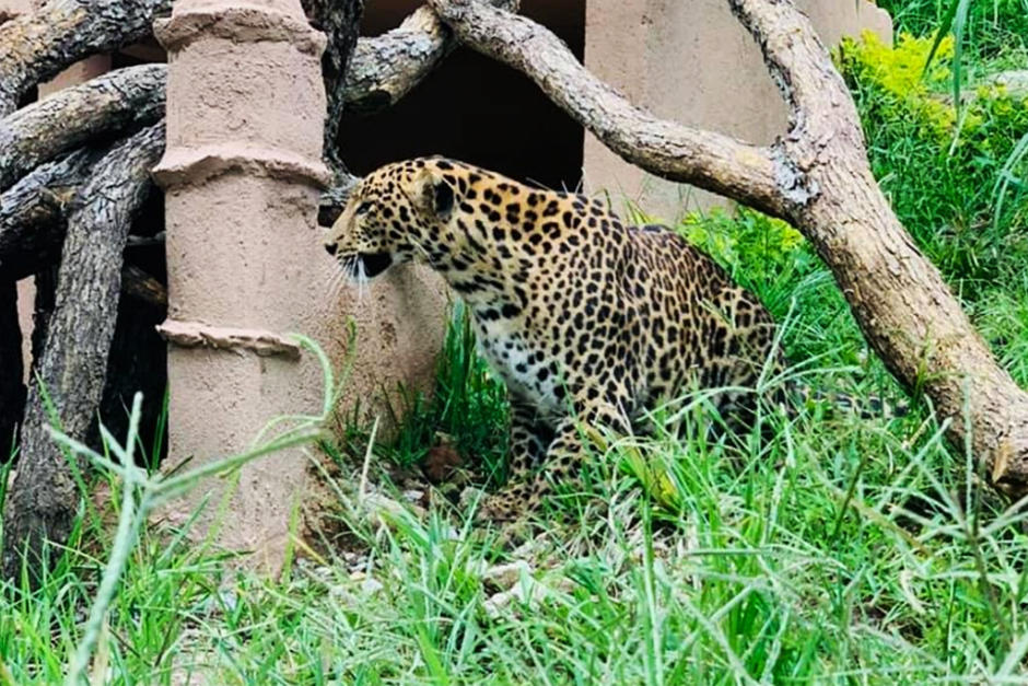 El lugar está ubicado a un costado de la basílica de Esquipulas (Fotografía: Parque Ecológico Cueva de las minas)