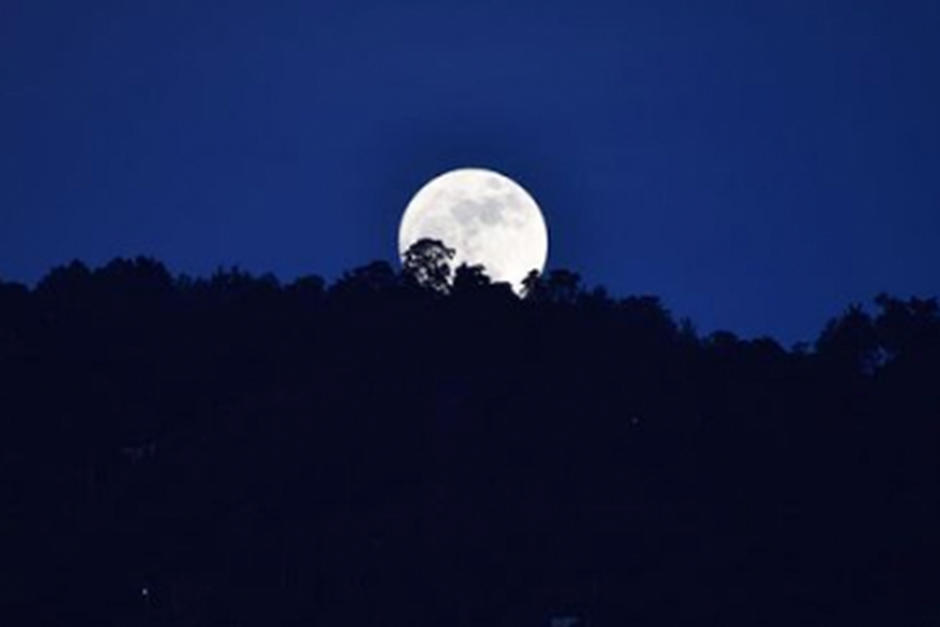 Serán cuatro divertidas noches. (Fotografía: Fredy Hernández / Soy502)