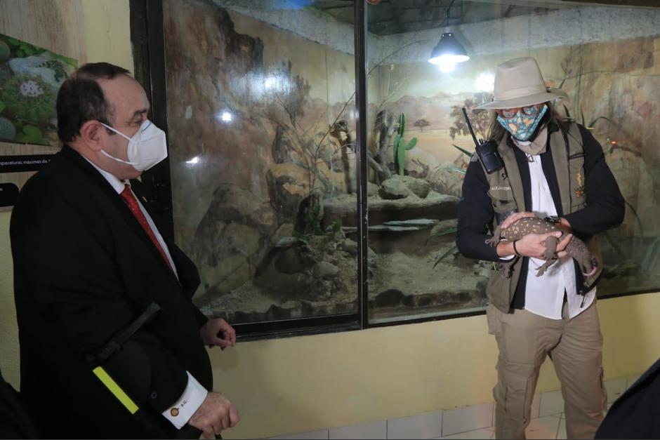 El presidente Alejandro Giammattei participó en el lanzamiento de la Estrategia Nacional contra el Tráfico Ilegal de Vida Silvestre. (Foto: Presidencia)