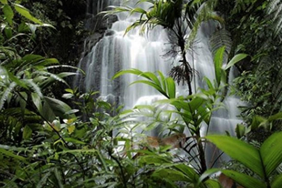 En Baja Verapaz se encuentra la reserva natural Ram Tzul (Fotografía: @nina.cactus)