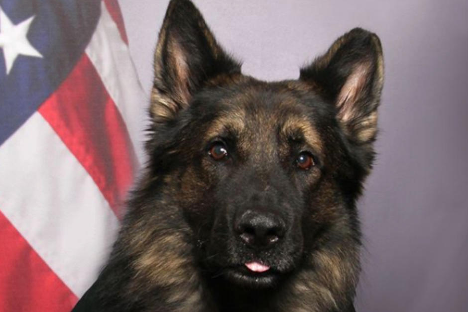 "Chico" usó su uniforme completo para la foto. (Foto: OrangeConSheriff)