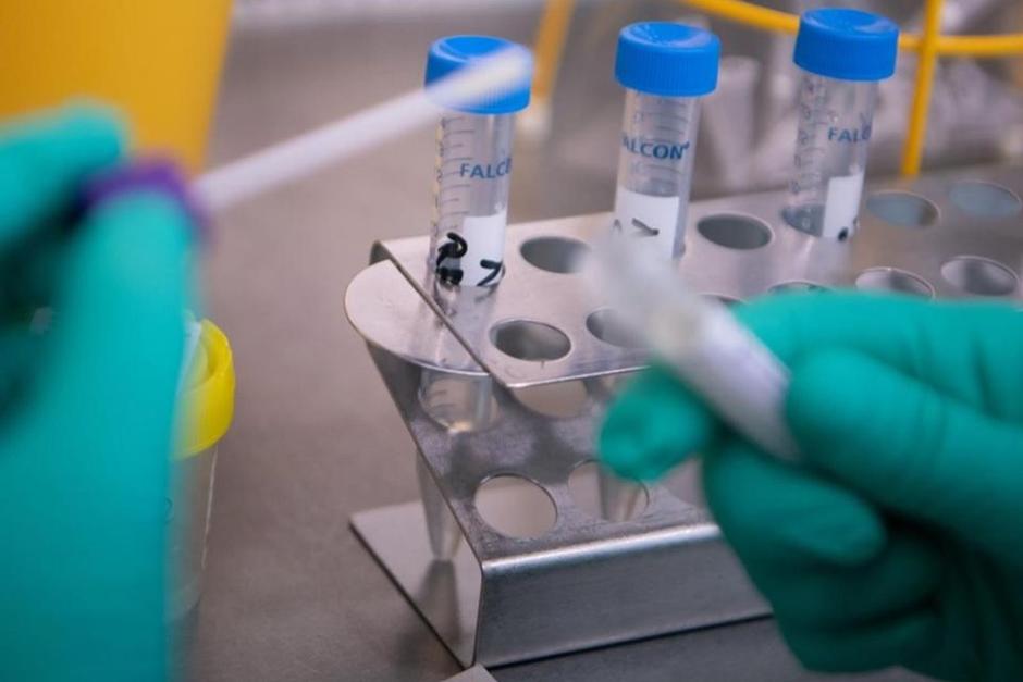 Un mensaje que afirma que los Centros para el Control y Prevención de Enfermedades de Estados Unidos reconocieron que el coronavirus no ha sido aislado y que los test PCR pueden fallar se compartió en redes. (Foto: FP) 