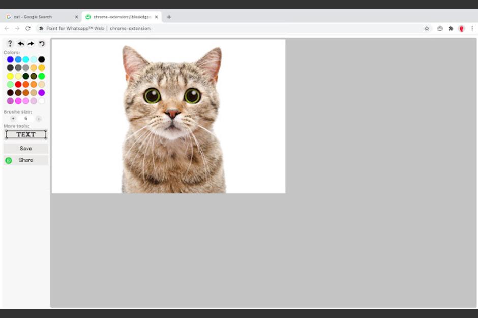La herramienta se aplica desde la computadora para que puedas editar tus fotografías. (Foto: Paint for Whatsapp Web)