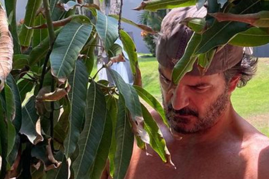 Ricardo Arjona presumió en redes sociales su árbol de mango que ya está dando frutos. (Foto: Instagram)