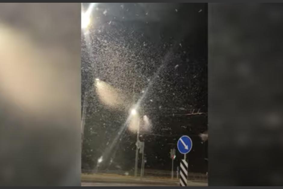 Miles de moscas fueron captadas volando en las calles de Bielorrusia. (Foto: Captura de pantalla)