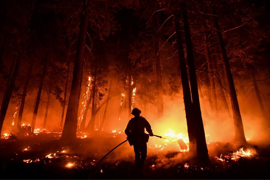 Un incendio forestal está fuera de control en el norte de California desde hace más de una semana. (Foto: AFP)