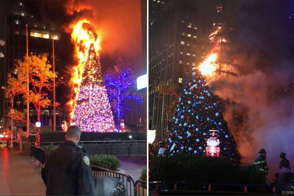 Tres árboles se vieron afectados por el atentado del hombre que sin razón aparente prendió fuego al adorno. (Foto: New York Post)