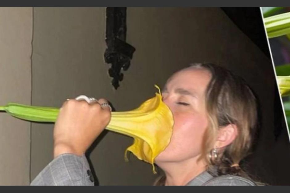 Raffaela Weyman y su amiga tuvieron efectos nocivos tras haber inhalado el aroma de la flor, considerada como venenosa y usada por algunos como una droga. (Captura Video)