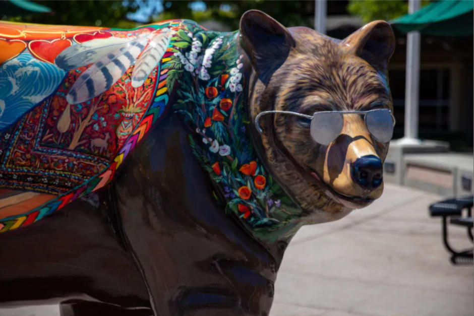 Los símbolos están inspirados en textiles de Guatemala y México. (Foto: Los Altos Bears)