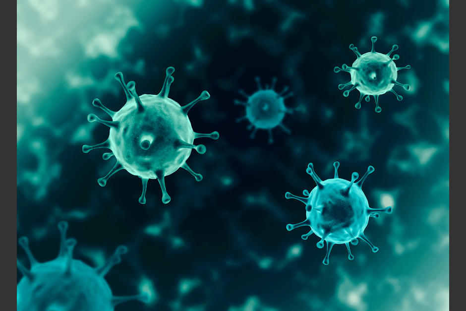 El SARS-CoV-2 pueda eventualmente penetrar en el cerebro vía el nervio olfativo e infectar localmente las células. (Foto: AFP)