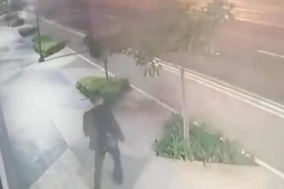 El hombre rompe las ramas de algunos árboles en un sector de la zona 4 capitalina. (Foto: Municipalidad de Guatemala)