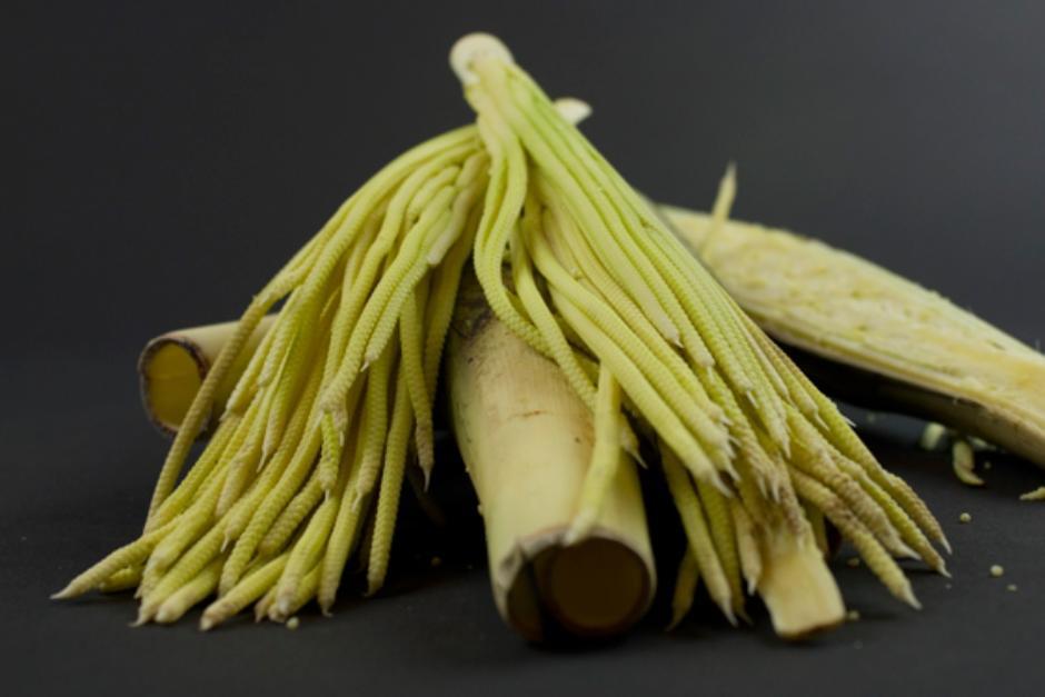 Los dos hombres que robaron pacayas en Cobán salieron en libertad. (Foto ilustrativa / maya-ethonobotany) 