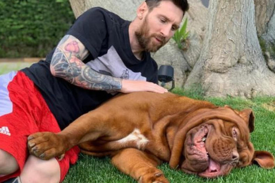 Hulk ya está en su hogar junto a los suyos. (Foto: Instagram)