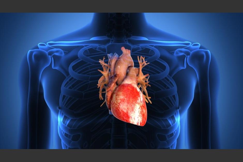 El Covid-19 puede deteriorar el motor del corazón. (Foto: Redacción Médica)