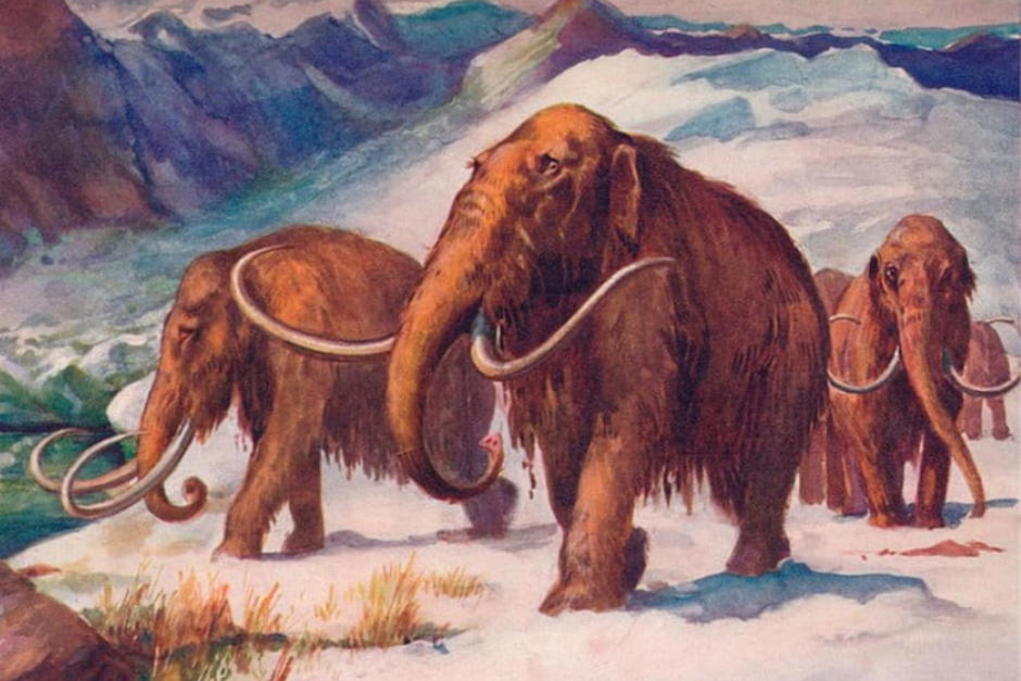 Los científicos aseguran que están listos para la hazaña. (Foto: The Print Collector/ Getty Images/AFP) 