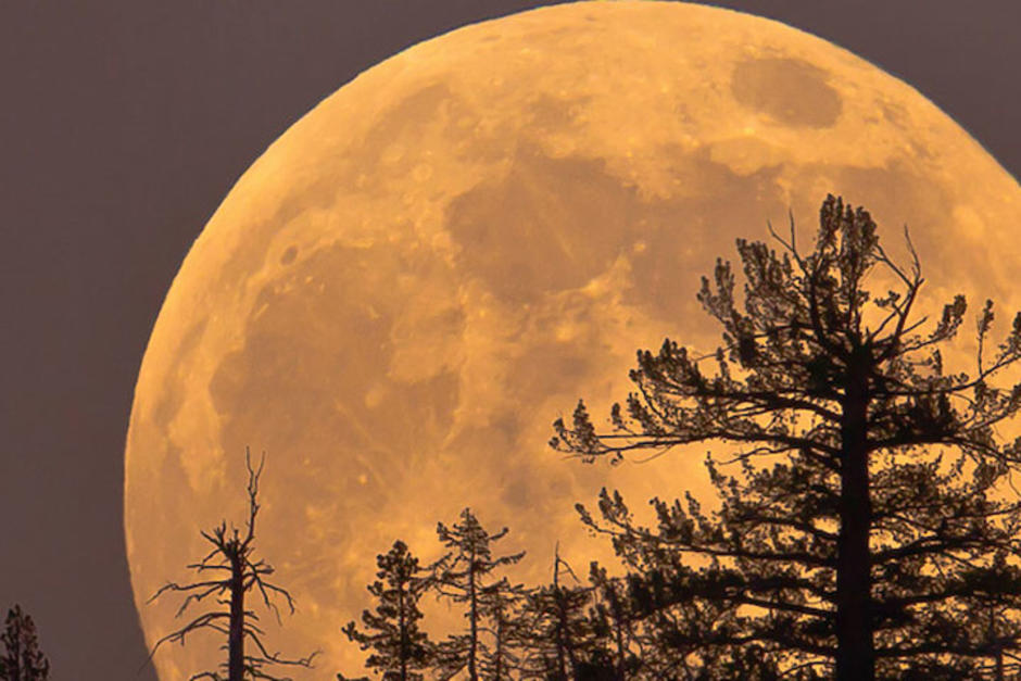 El nombre Luna de Maíz indica que las cosechas han iniciado. (Foto: servicios)