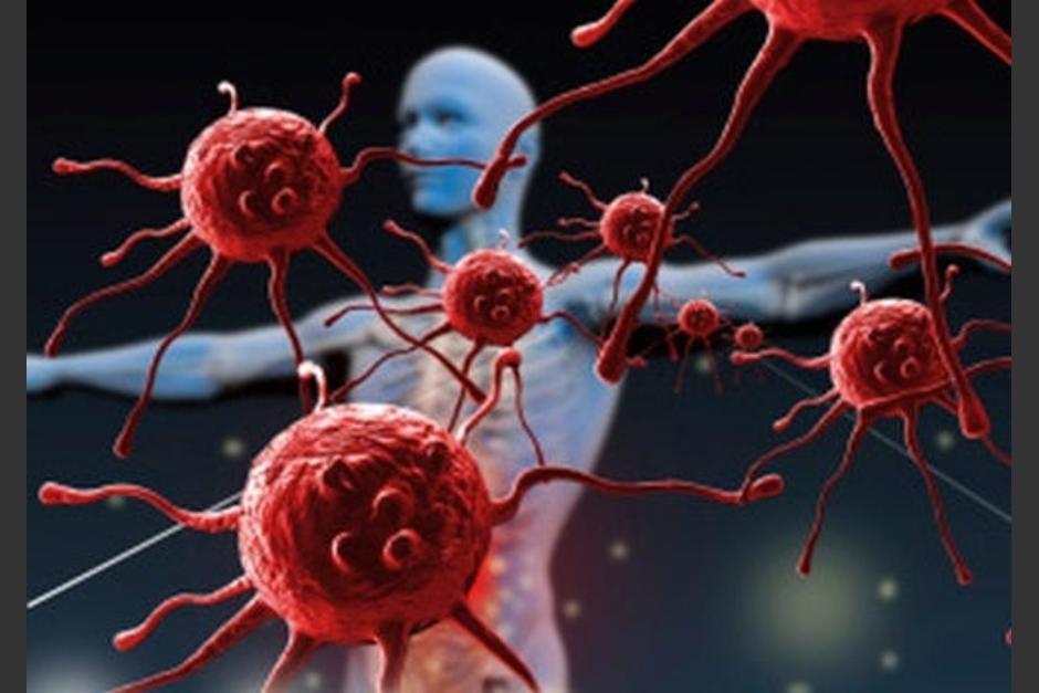 El tener un estilo de vida saludable ayuda a fortalecer el sistema inmunológico. (Foto: servicios)