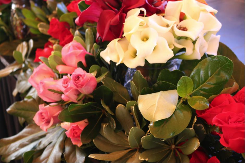 Guatemala lidera importante lista de proveedores de plantas y flores en Europa. (Foto: Agexport) 