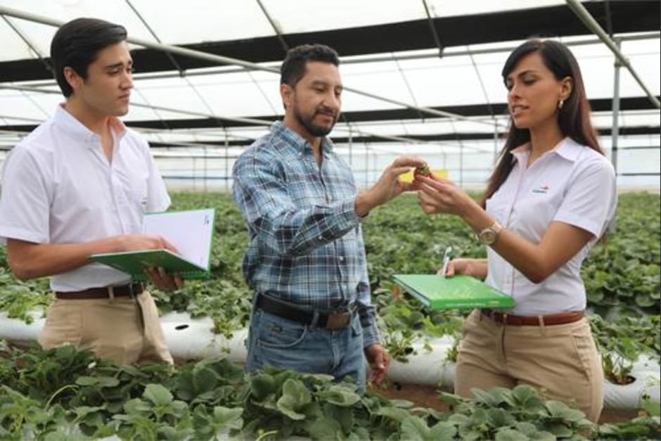 (Fotografía cortesía: Banrural)