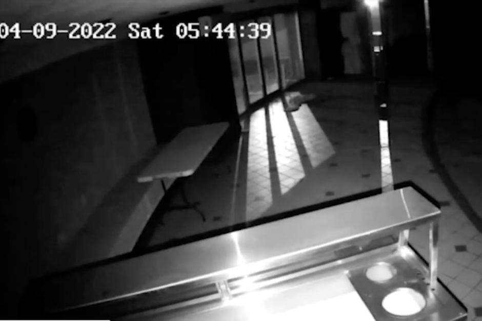 Algunos medios mexicanos e internautas detectaron una sombra luego que el auto se estacionara afuera del motel. (Foto: Oficial)