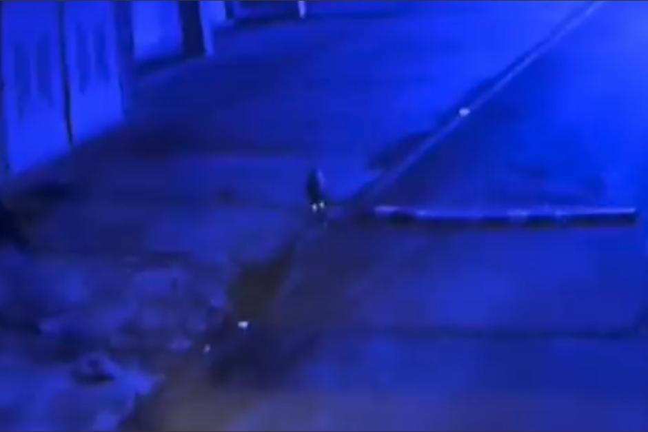 Una filmación habría captado a la supuesta pantera que deambula en una zona boscosa de Mixco. (Captura video)