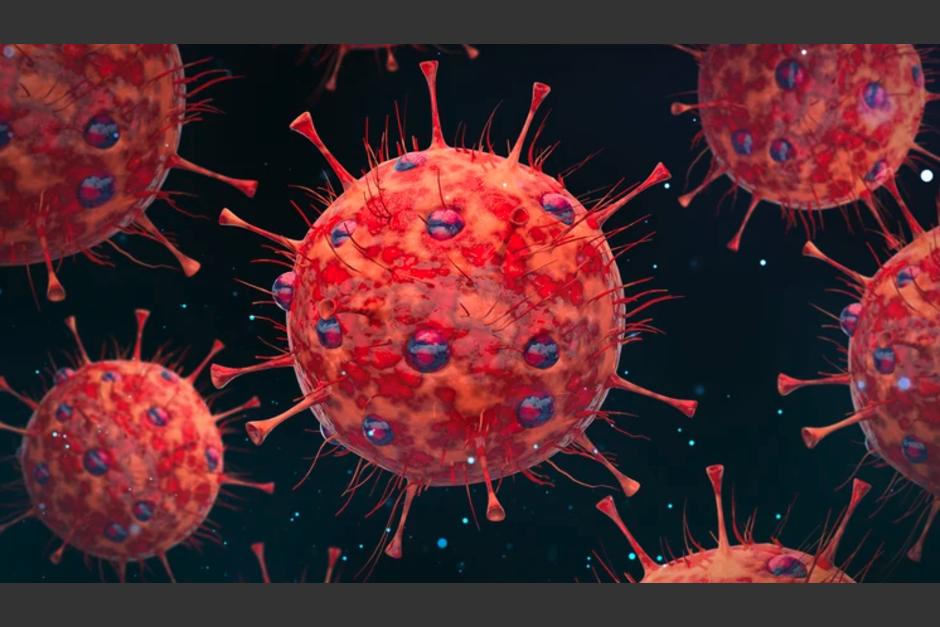 Existen tres subvariantes de Ómicron resistentes a los anticuerpos. (Foto: Infobae)