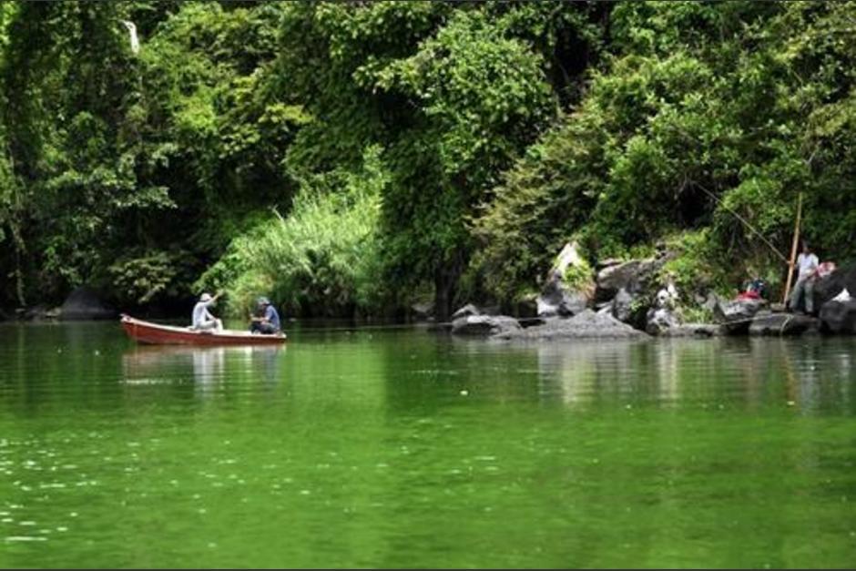 El lago de Amatitlán se encuentra contaminado. (Foto: AFP)