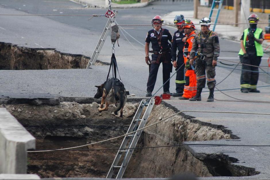 Un elemento K9 es introducido en el agujero de Villa Nueva con arnés. (Foto: RRSS)