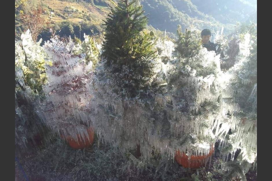 San Marcos se cubrió de hielo este domingo 29 de enero. (Foto: Noticias Sololá)