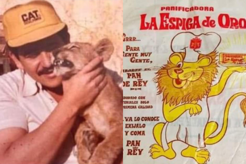 La felina fue muy conocida por los vecinos. (Fotos: Chriss/Juan Pablo Mata)