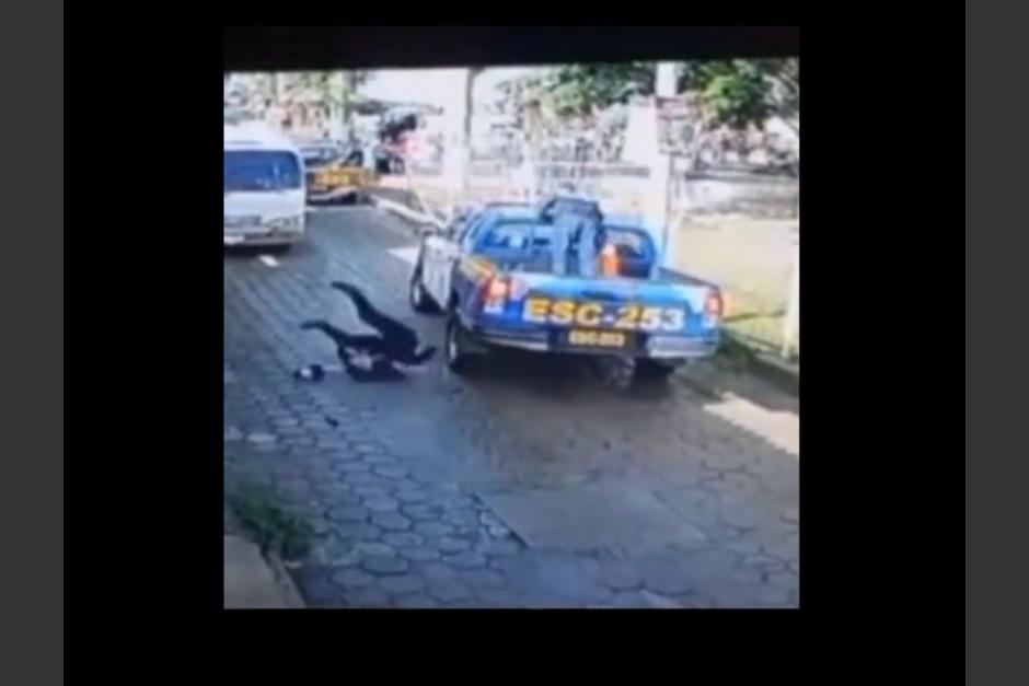 Un PNC fue víctima de burlas tras sufrir una caída de una patrulla. (Foto: captura de pantalla) 