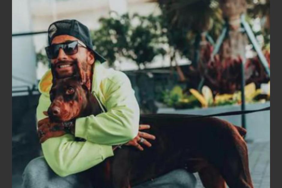 Maluma fue mordido por uno de sus perros dóberman por segunda ocasión. (Foto: Instagram)