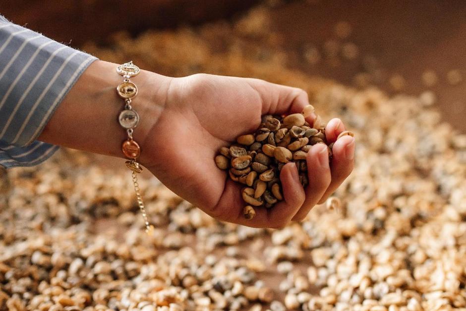 Una de las actividades destacadas es el tour por los campos de cultivo de café. (Foto: Finca La Azotea)