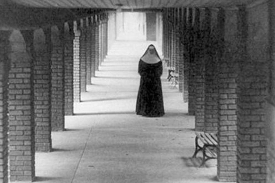 La aparición conmocionó al usuario. (Foto: Oficial)