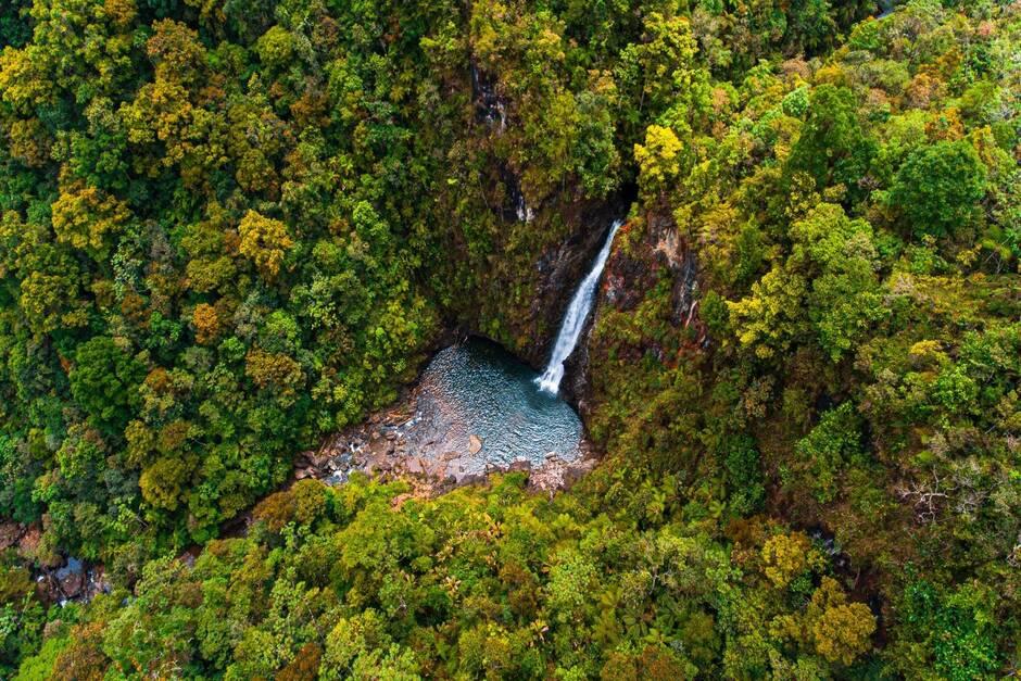 La cascada se ubica al centro del bosque nuboso. (Foto: ExploraGuate.gt)