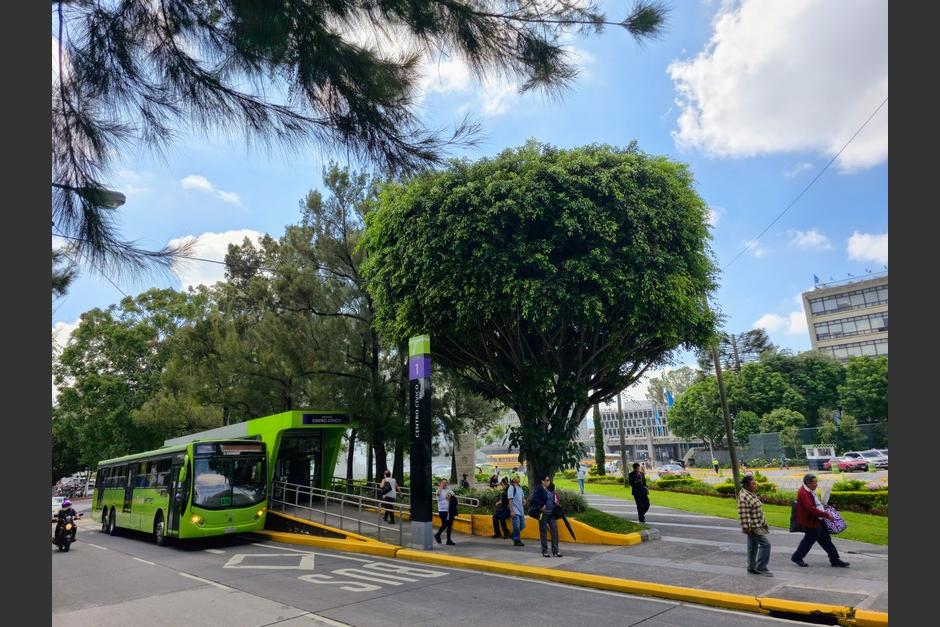 Las estaciones están diseñadas con andenes elevados. (Foto: Cortesía/ Municipalidad de Guatemala)